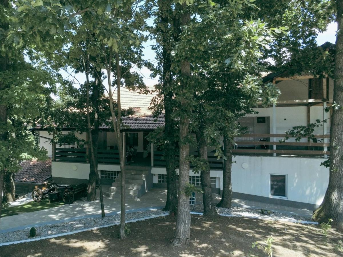 Konak Ljubica Rtanj Boljevac Exterior foto